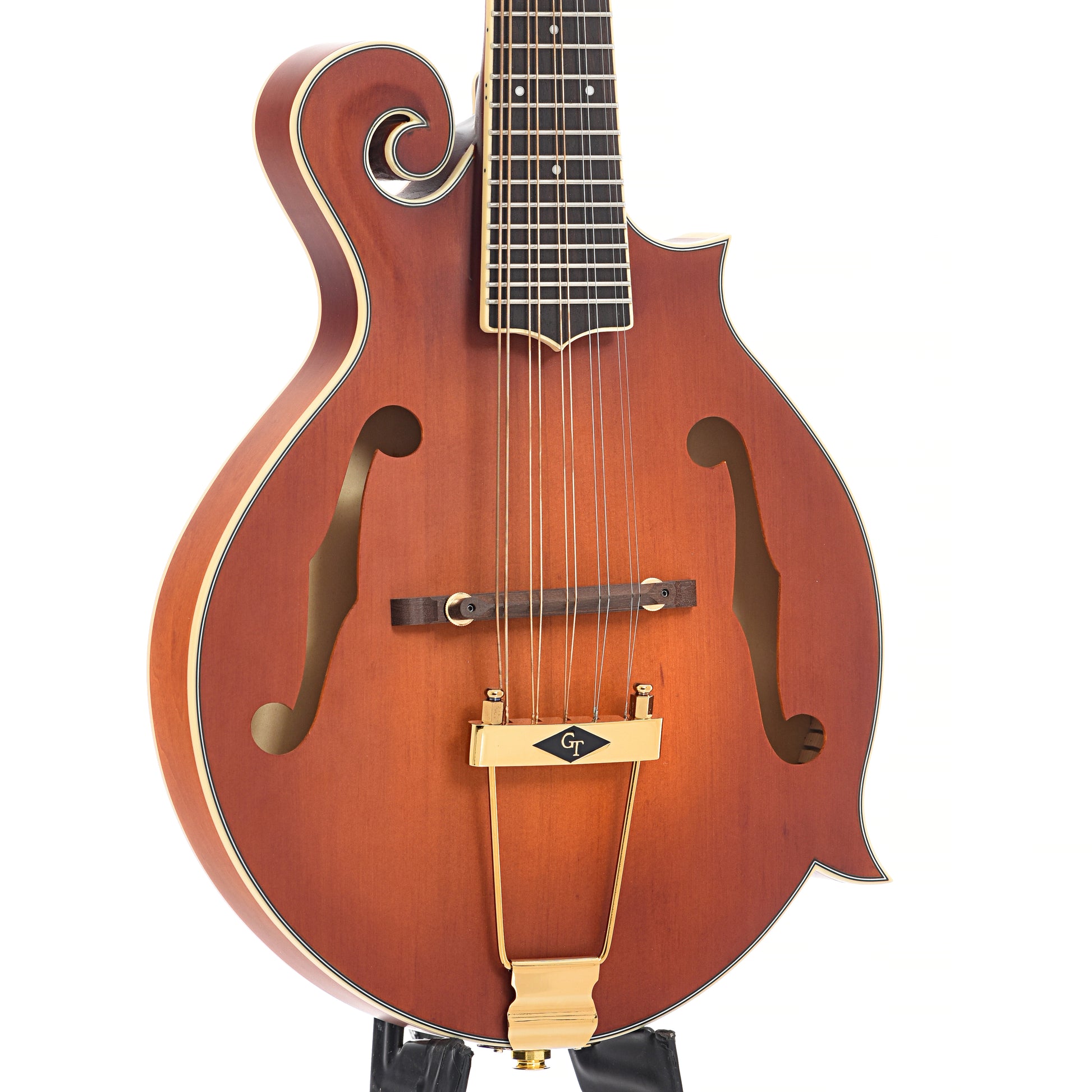 Front and side of Gold Tone F-10 10-String Mandolin 