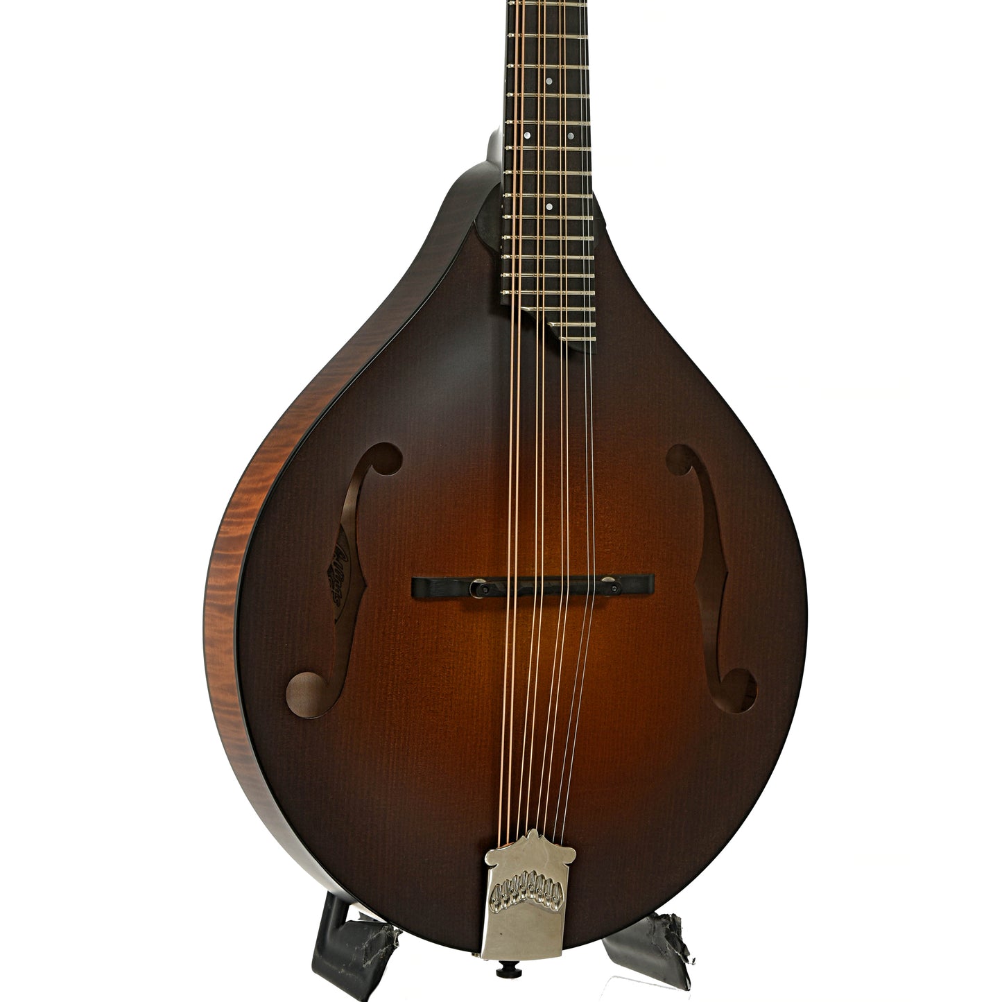 Front and side of Collings MT Mandola