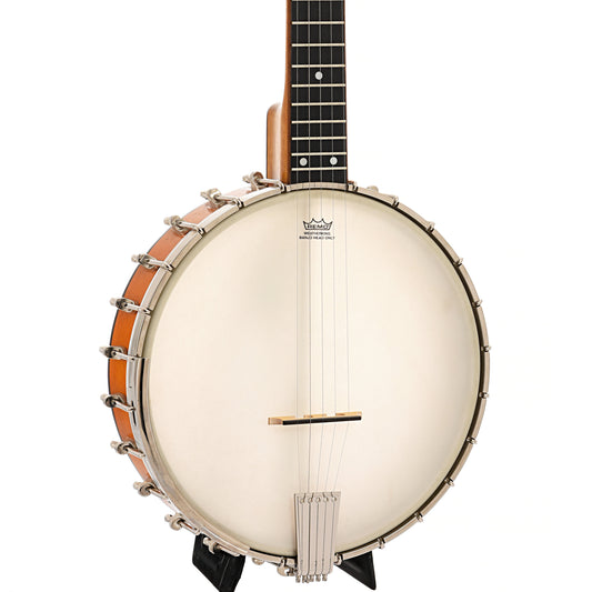 Front and side of Parts Open Back Banjo