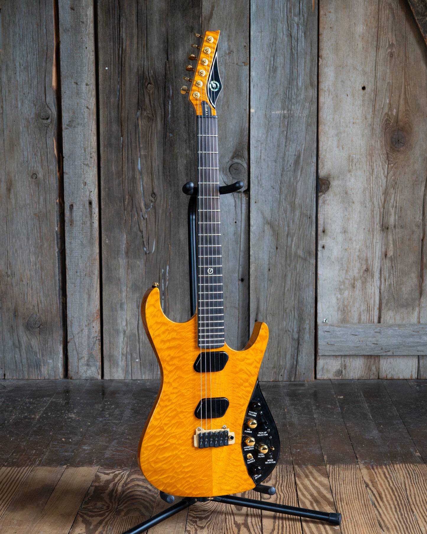 Showroom photo of Moog E-1 Paul Vo Collector's Edition Electric Guitar (2008)