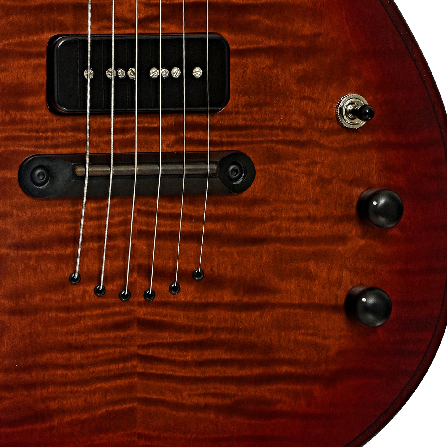 Bridge and controls of Beard Trailhead Lapsteel Guitar