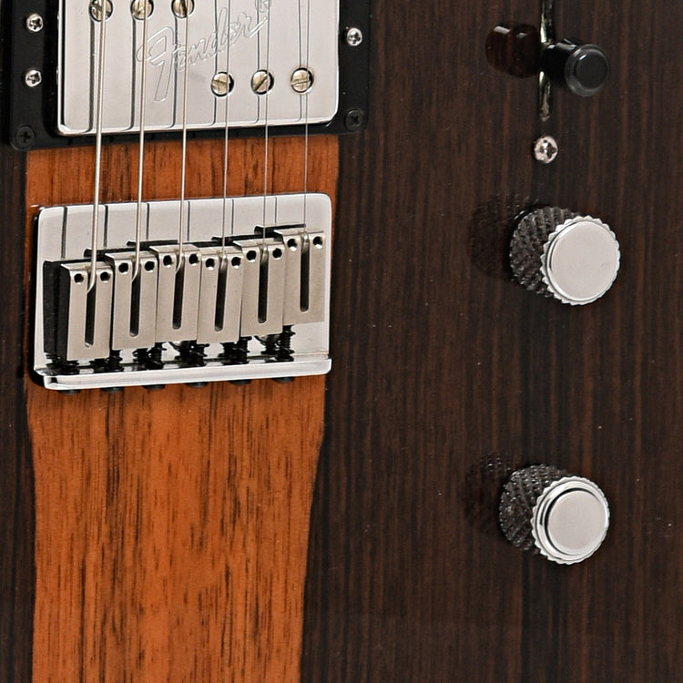 Bridge and controls of Fender Select Malaysian Blackwood Telecaster 