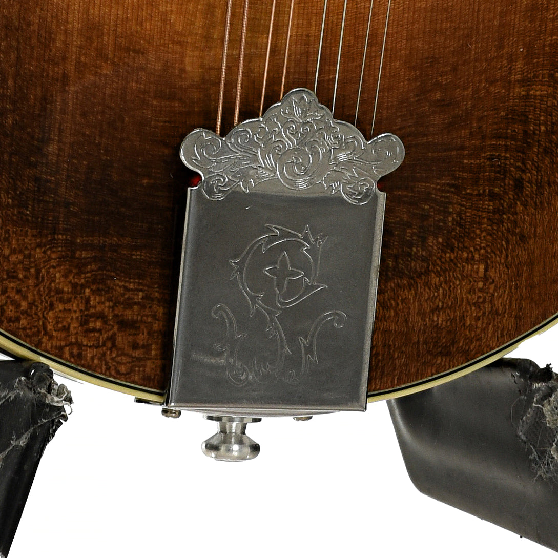 Tailpiece of Stiver Model F Mandolin