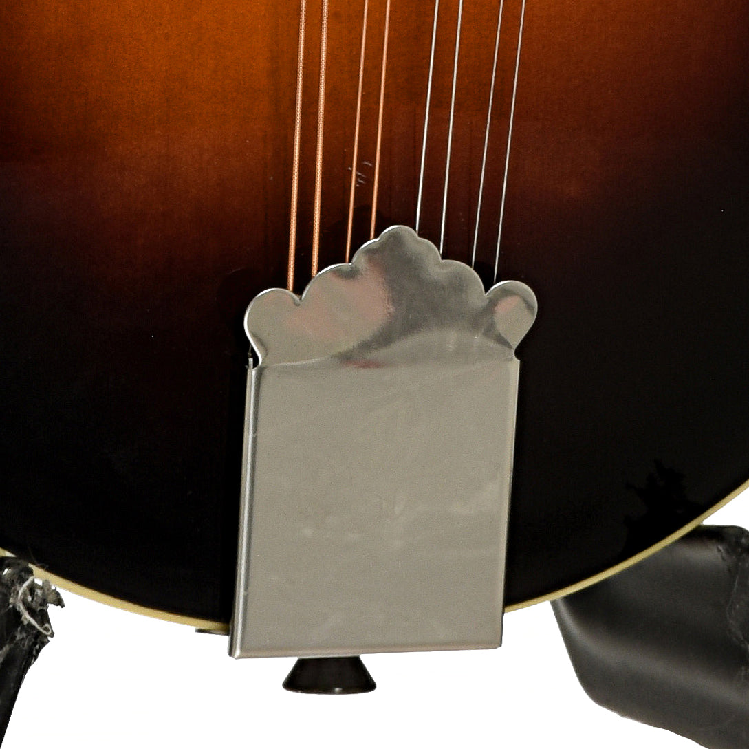 Tailpiece of The Loar LM-520 F-Style Mandolin