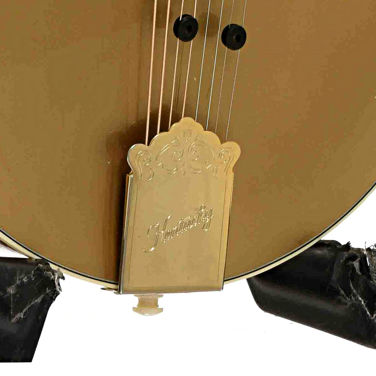 Bridge of Kentucky KM-858 Gold Artist F-Style Mandolin 
