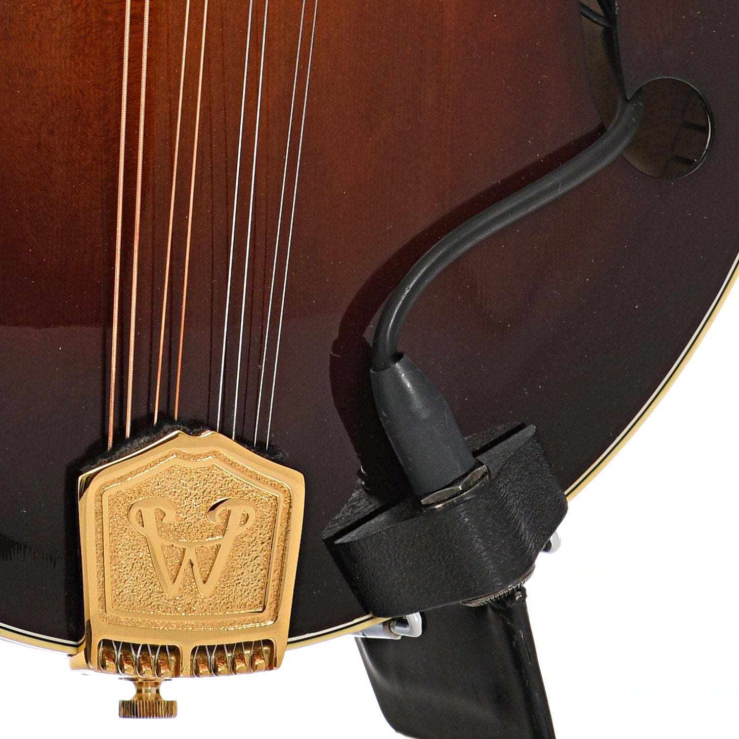Tailpiece and input jack of Weber Bighorn Mandolin (2006)