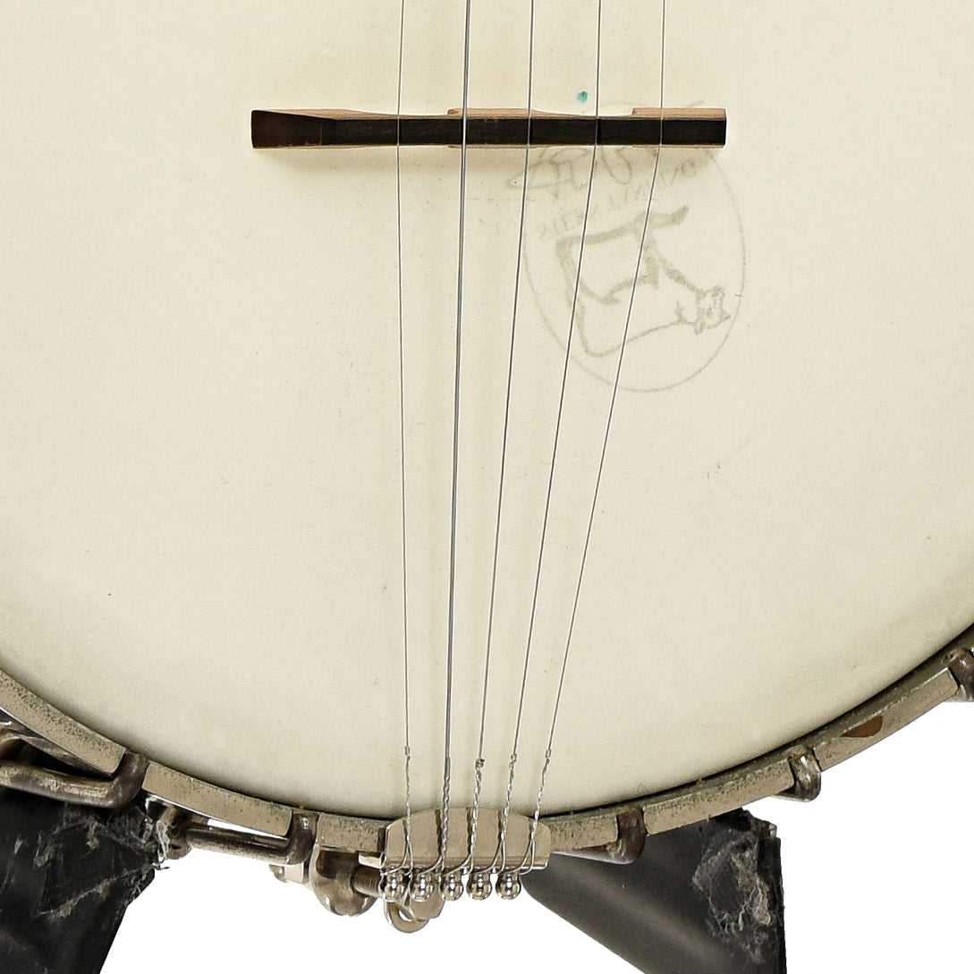 Bridge of R.M. Anderson Vega Tubaphone Conversion Banjo