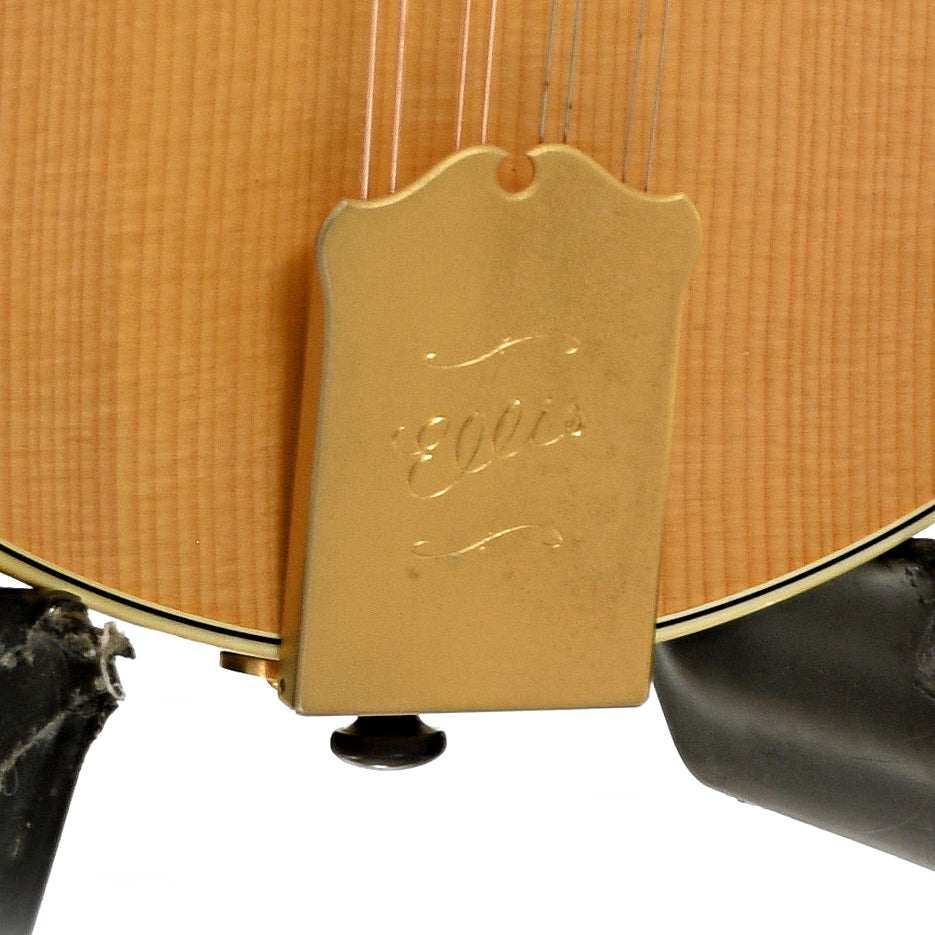 Tailpiece of Ellis A-5 Special Mandolin 