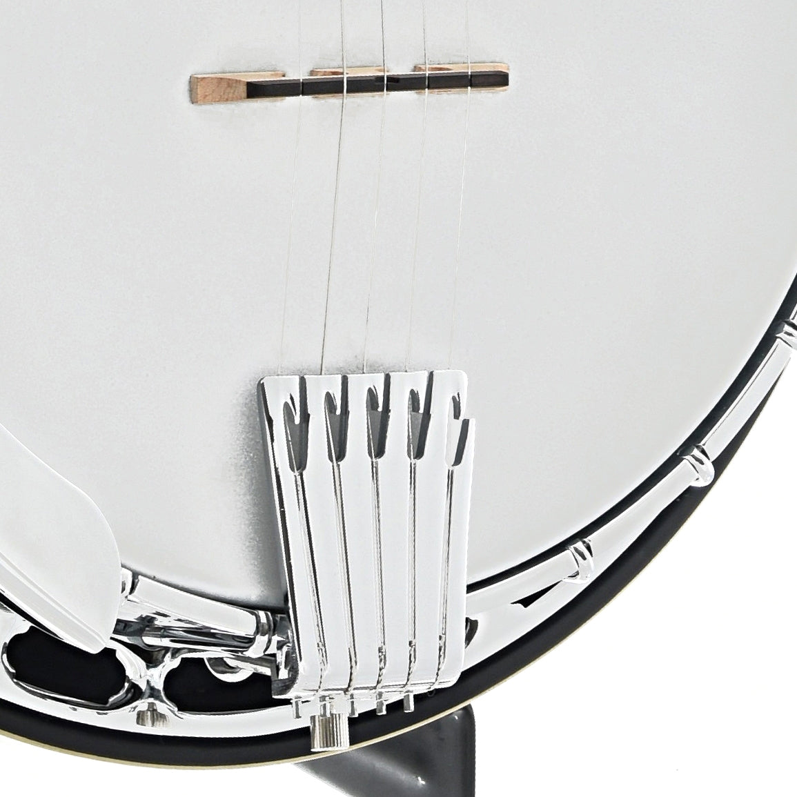 Tailpiece of Gold Tone Mastertone OB-150 Orange Blossom Resonator Banjo & Case, Shopworn