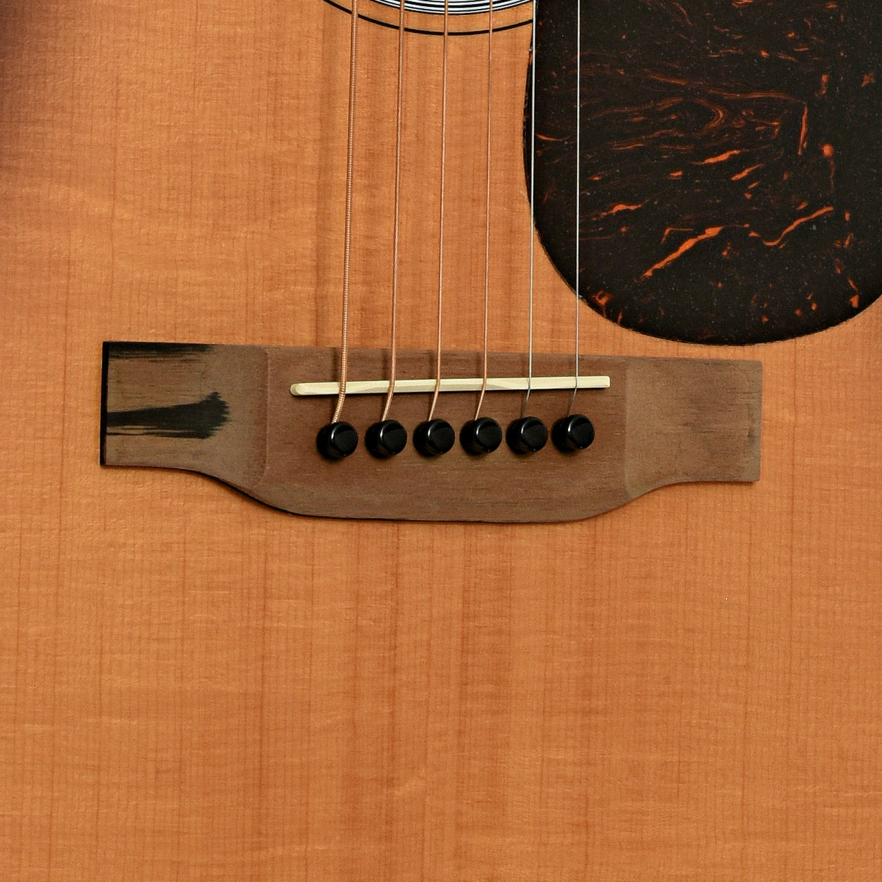 Martin D-X2E Molly Tuttle Guitar and Gigbag
