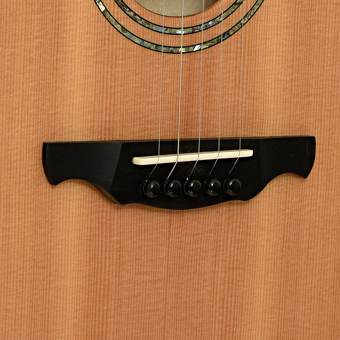 Bridge of  Gold Tone Pat Cloud Banjola  