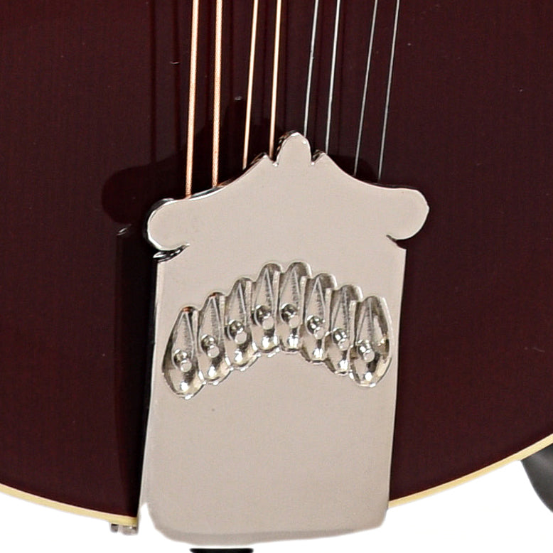 Tailpiece of Collings MF Deluxe Mandolin 