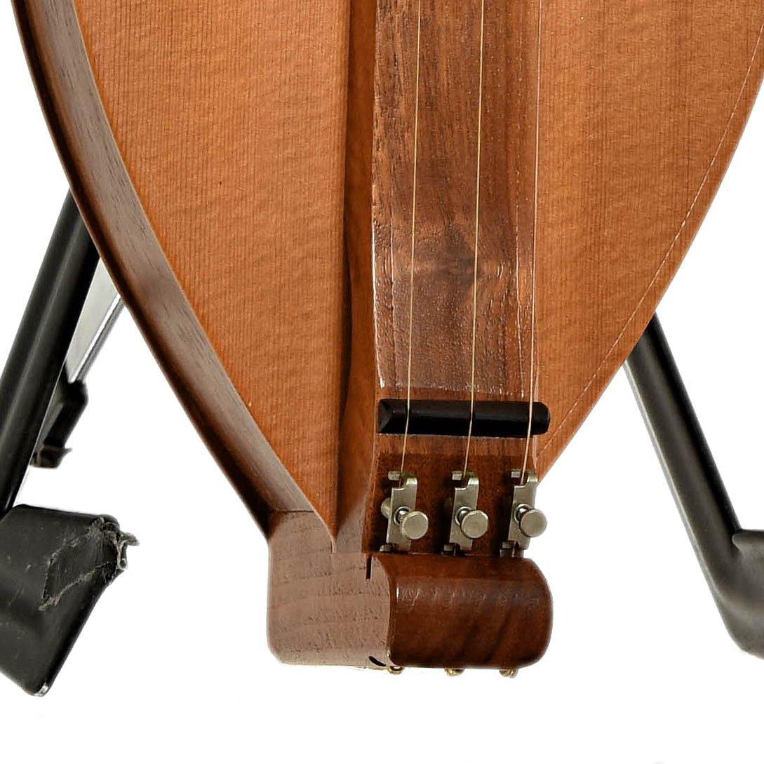 Nut and fine tuners of Homer Ledford Special Appalachian Dulcimer