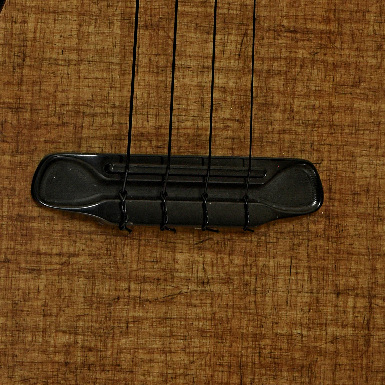 Bridge of Blackbird Clara Concert Ukulele 