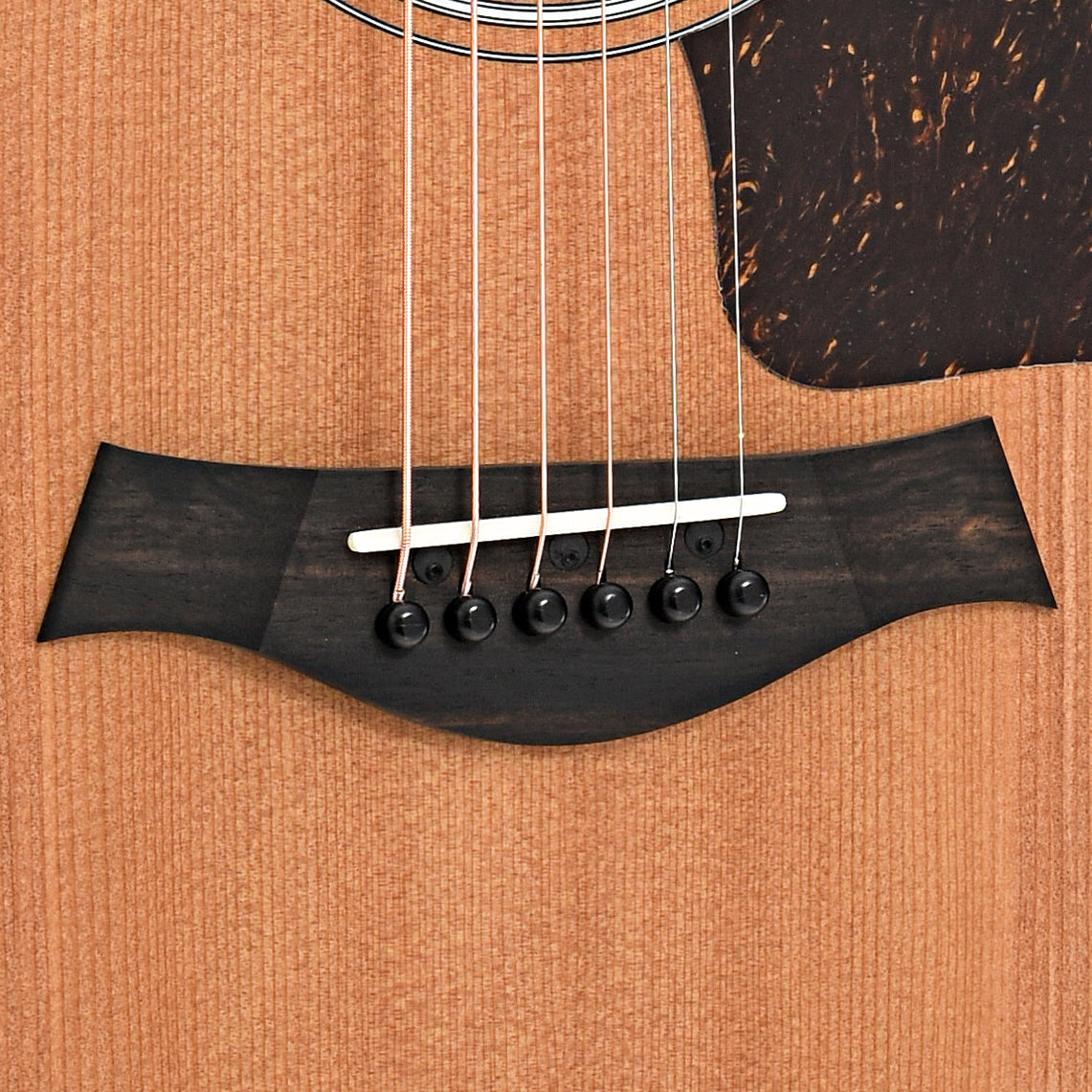 Bridge of Taylor 214ce Acoustic Guitar