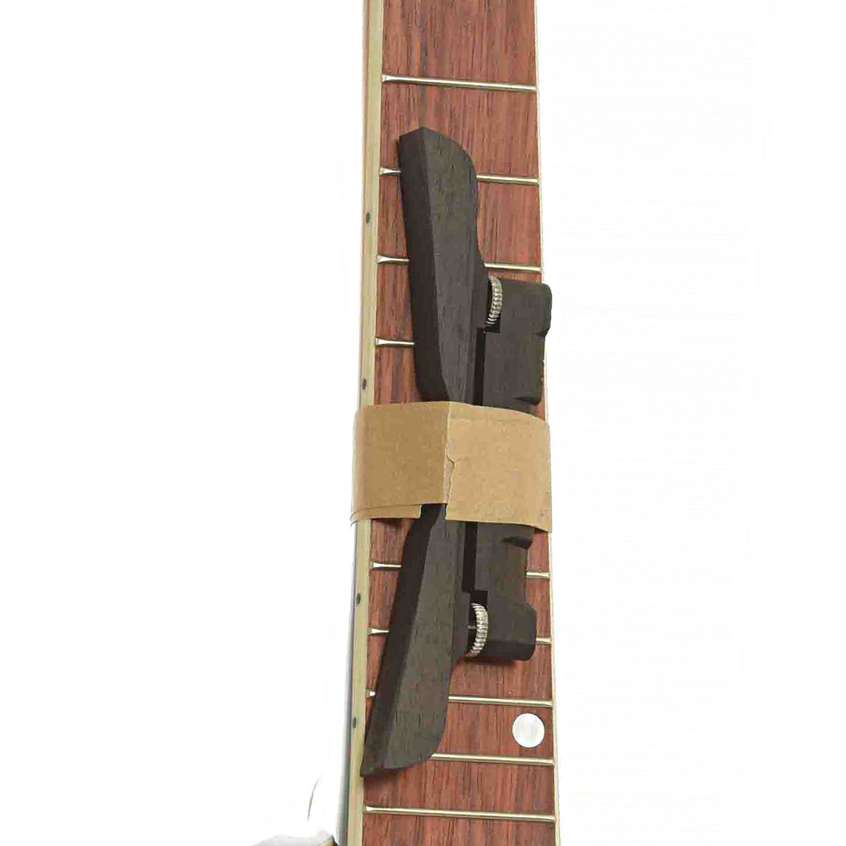 Fretboard of Kentucky KM-150 A-Model
