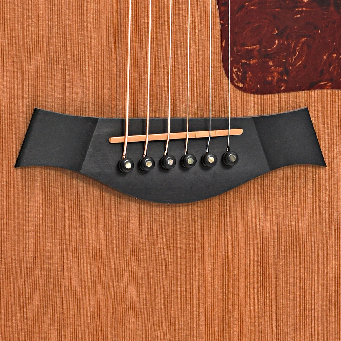 Bridge of Taylor 714-CE Acoustic-Electric Guitar (2005)