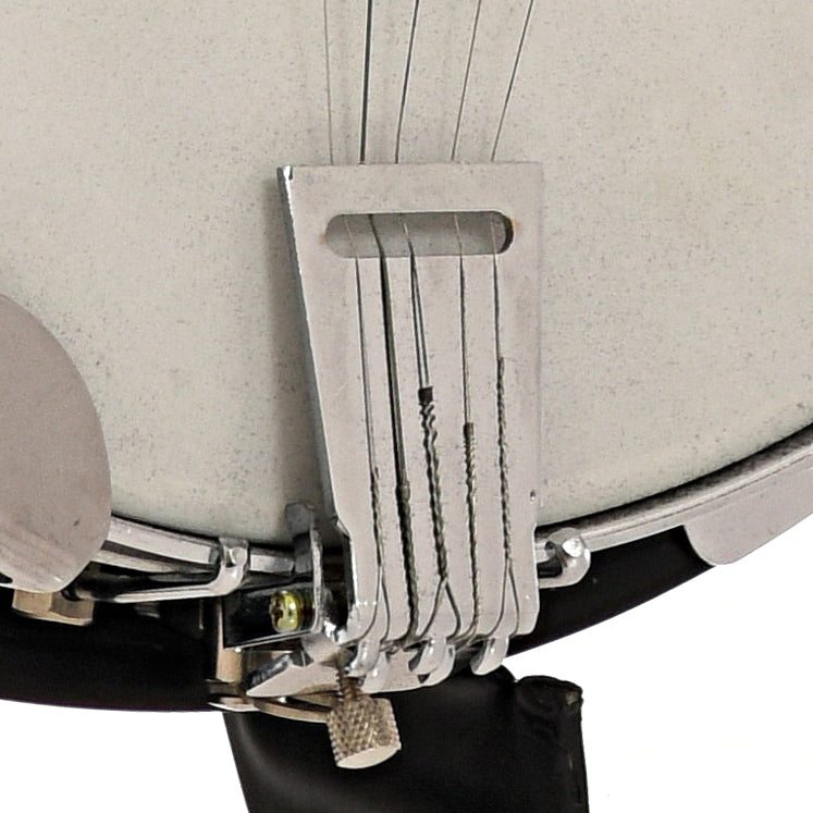 Tailpiece of Saga Resonator Banjo