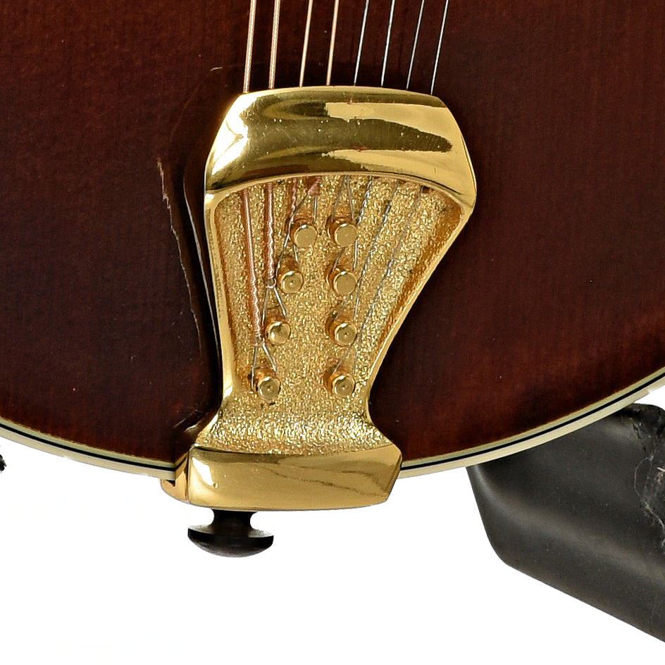 Tailpiece of Prucha A5 Standard Mandolin