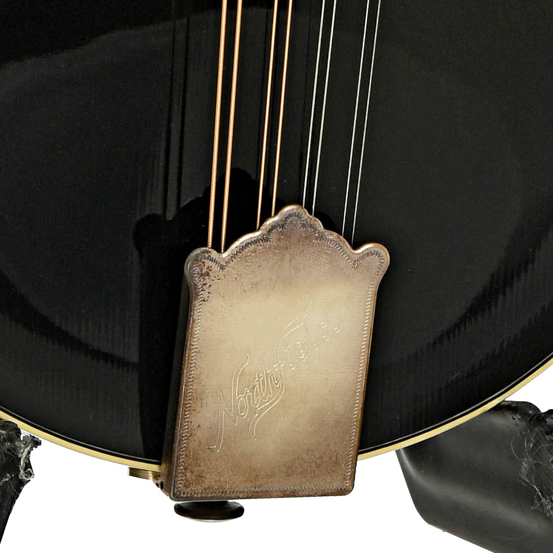 Tailpiece of Northfield NF-F5MB Blacktop Master Model