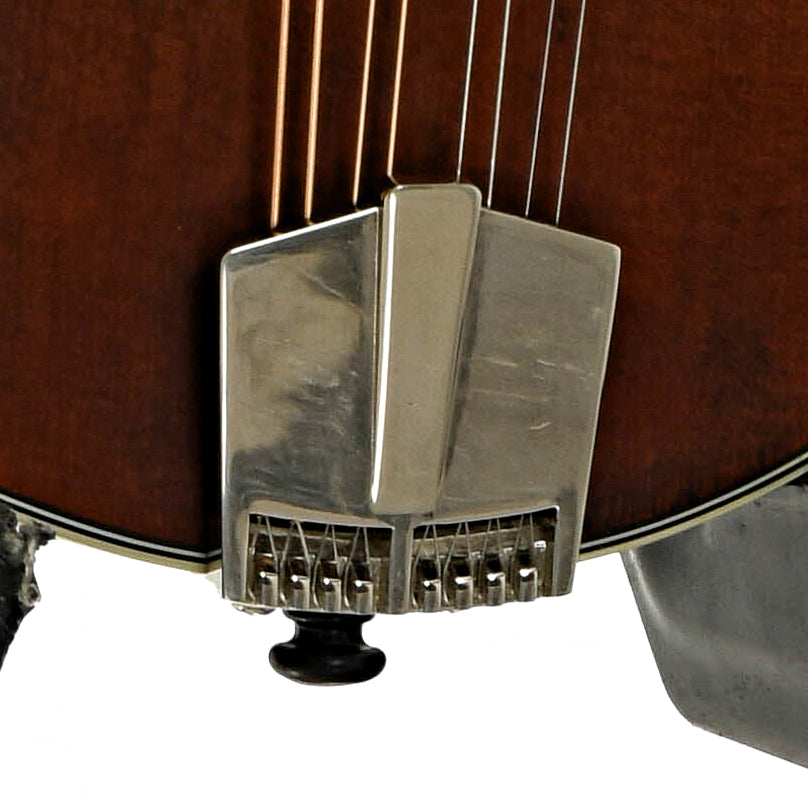 Tailpiece of Eastman MD315 F-Style Mandolin