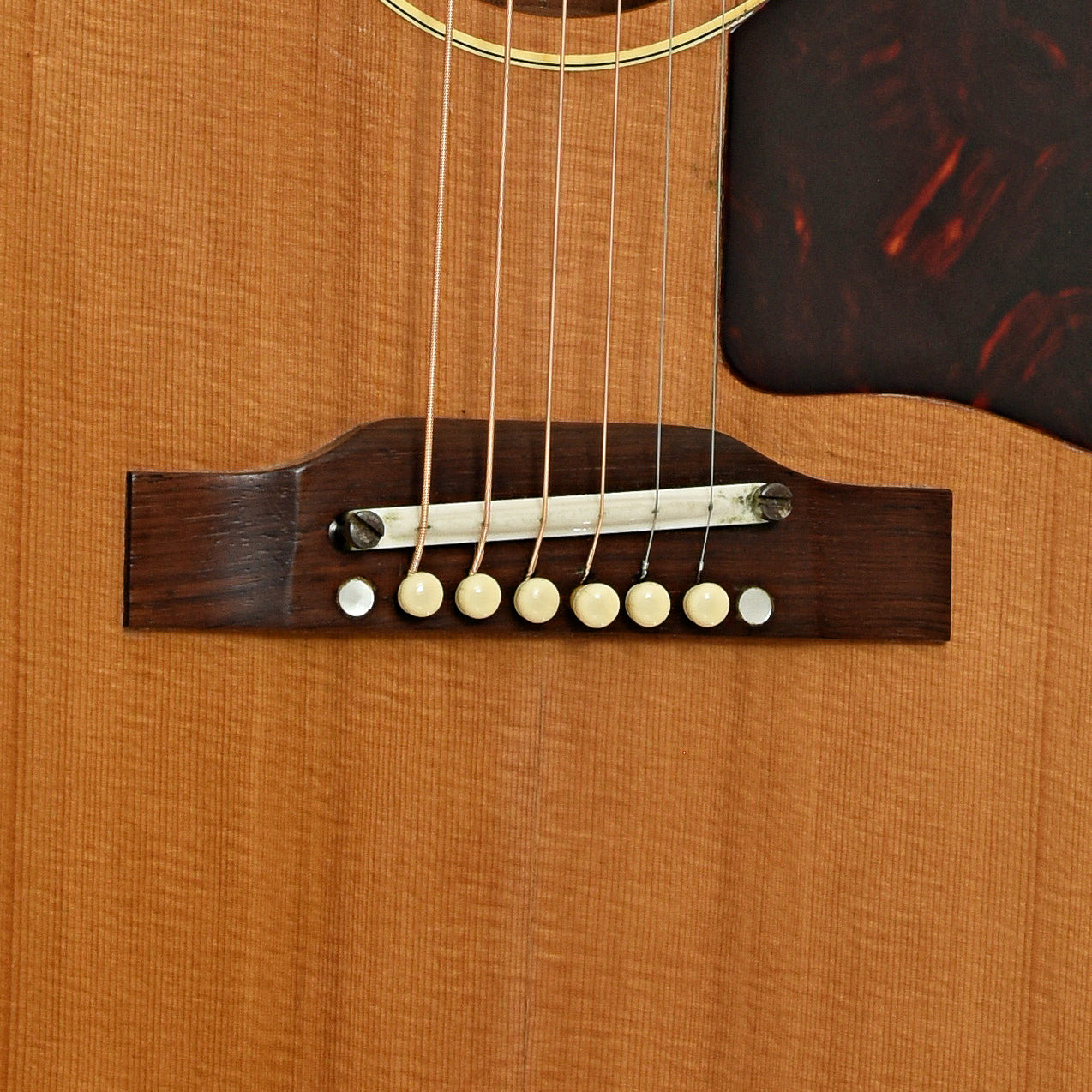 Bridge of Gibson J-50 Acoustic Guitar 