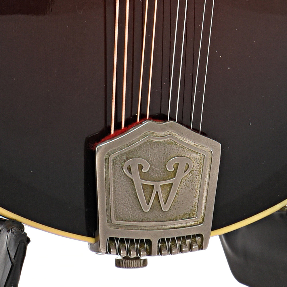tailpiece of Weber Yellowstone F-Model Mandolin (2005)