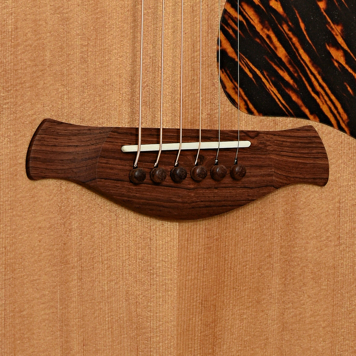 Bridge of Taylor Gold Label 510e Acoustic-Electric Guitar