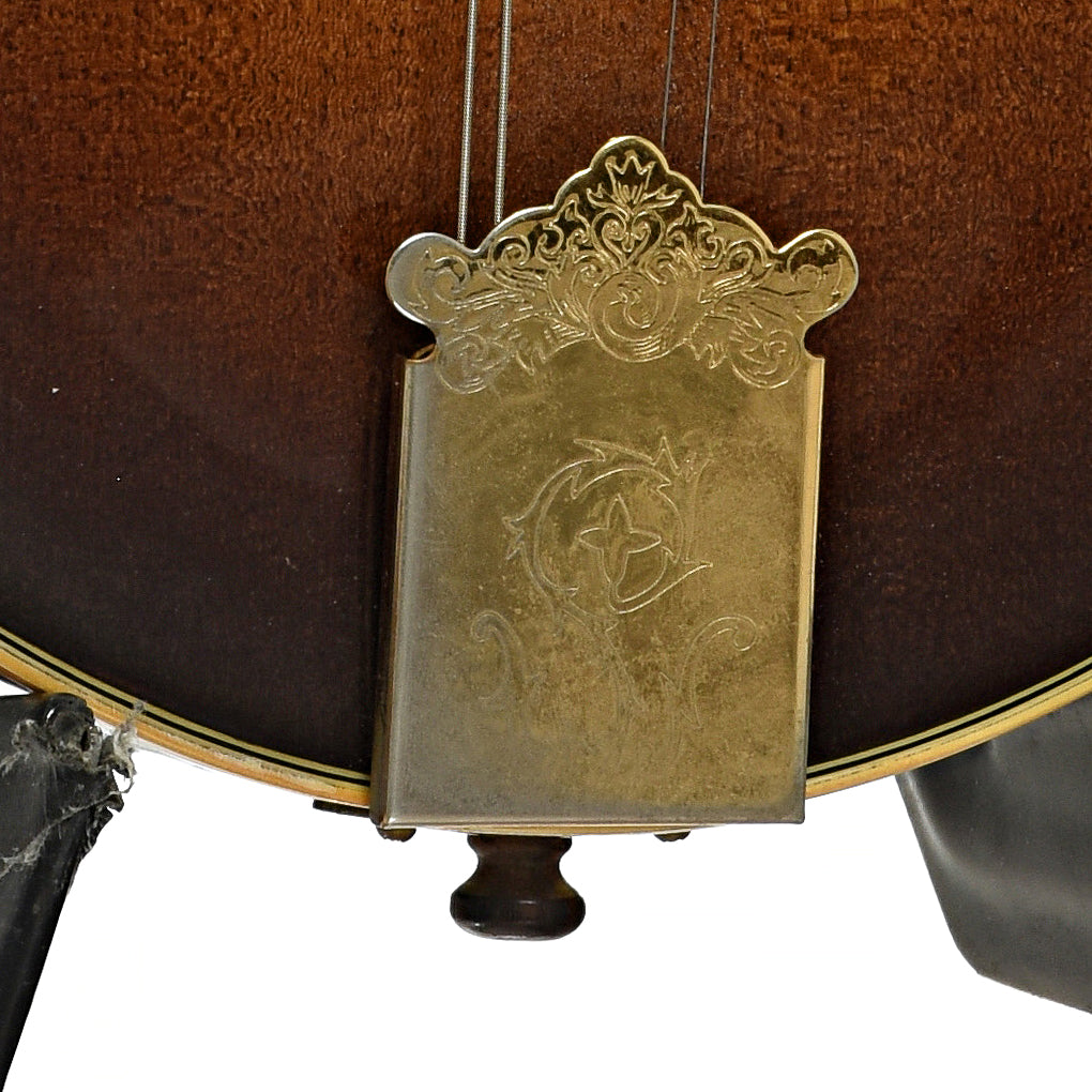 Tailpiece of Washburn M-5S F-Style Mandolin