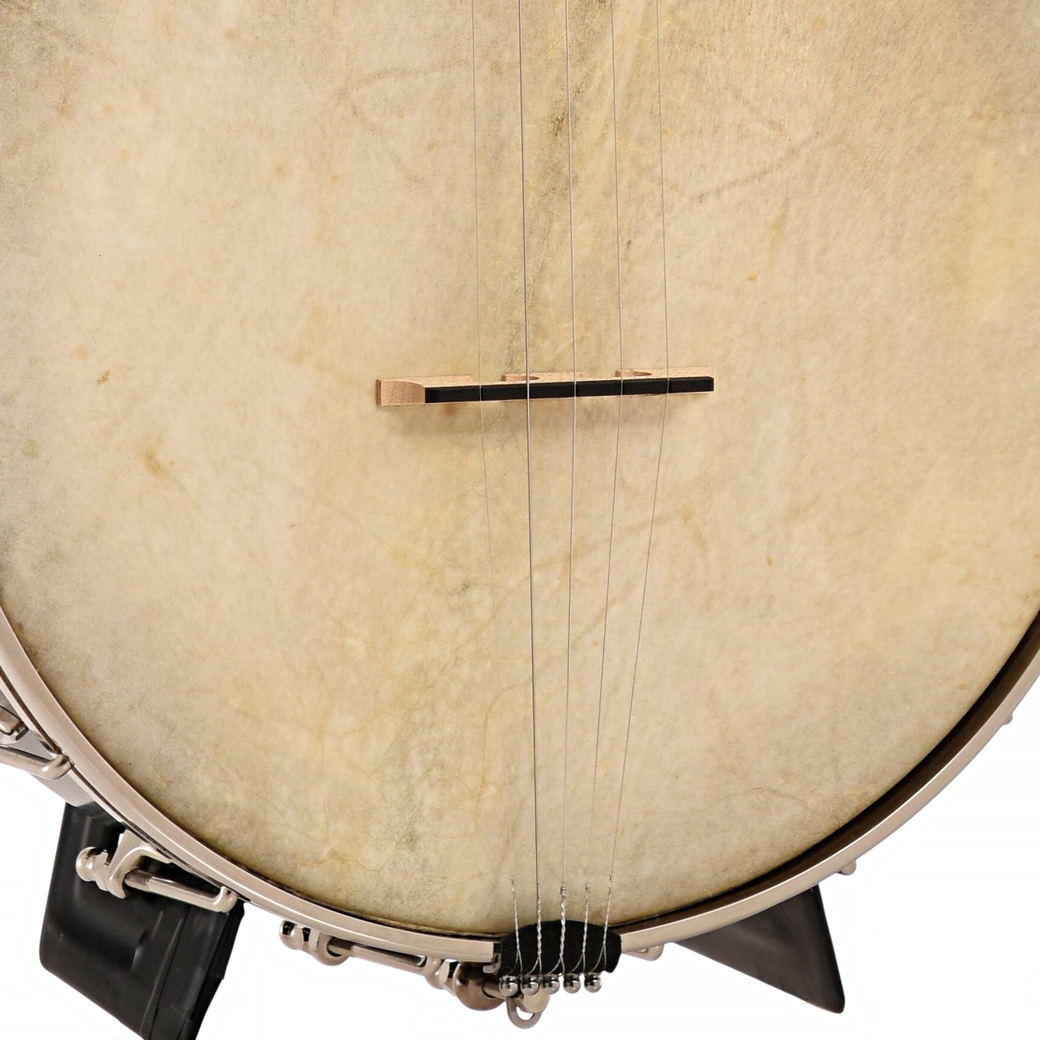 Tailpiece and bridge of Chuck Lee Custom Cottonwood Openback Banjo, 11" Rim, Dobson Tone Ring