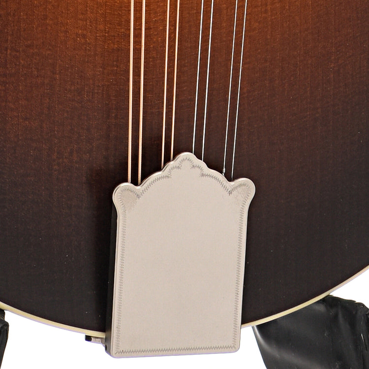 Tailpiece of Pava F5 Satin Model F-Mandolin, Full Sunburst