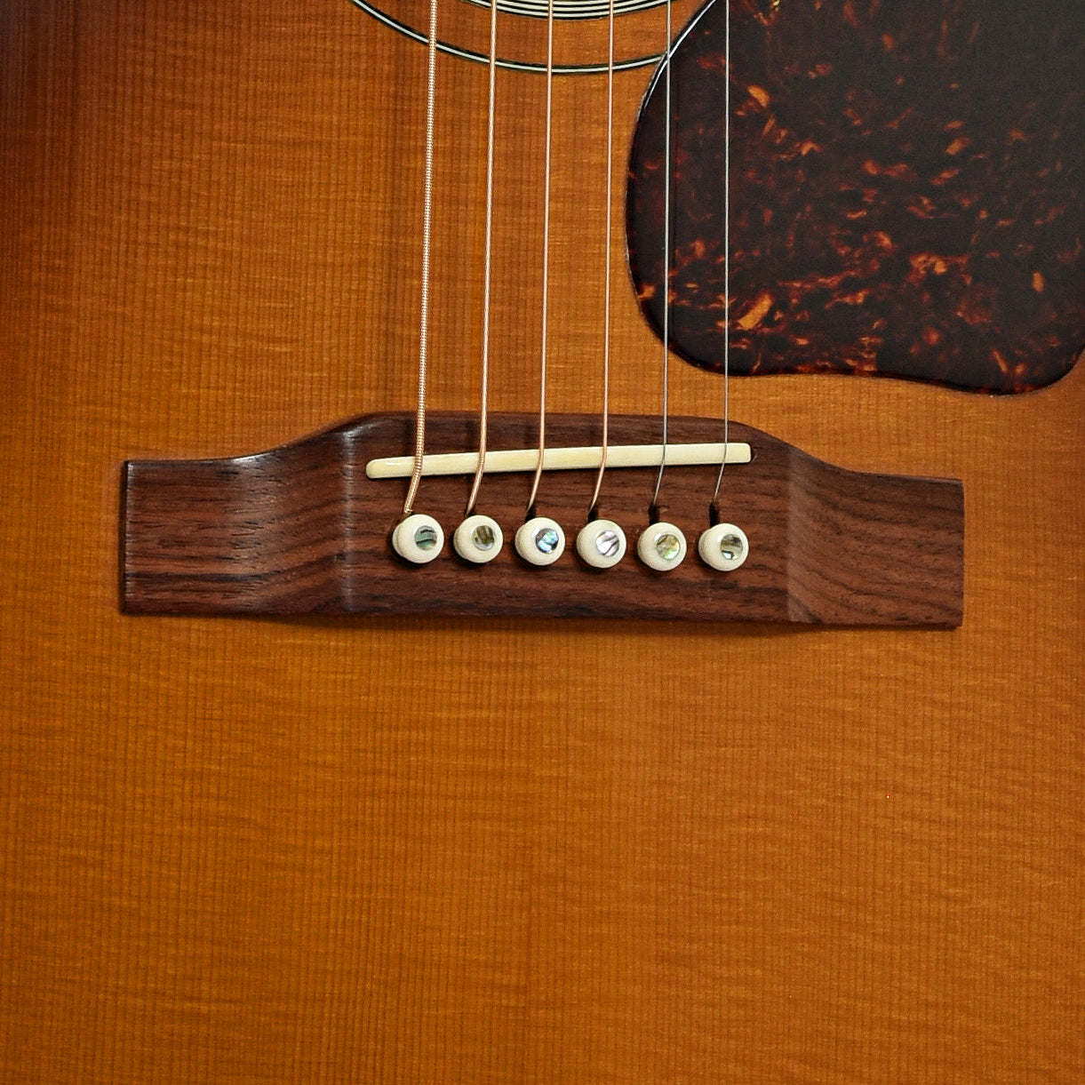 Bridge of Gibson J-45 Acoustic Guitar