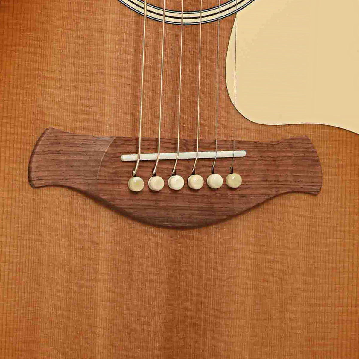 Bridge of Ben Harper Gold Label 512e SE Grand Concert