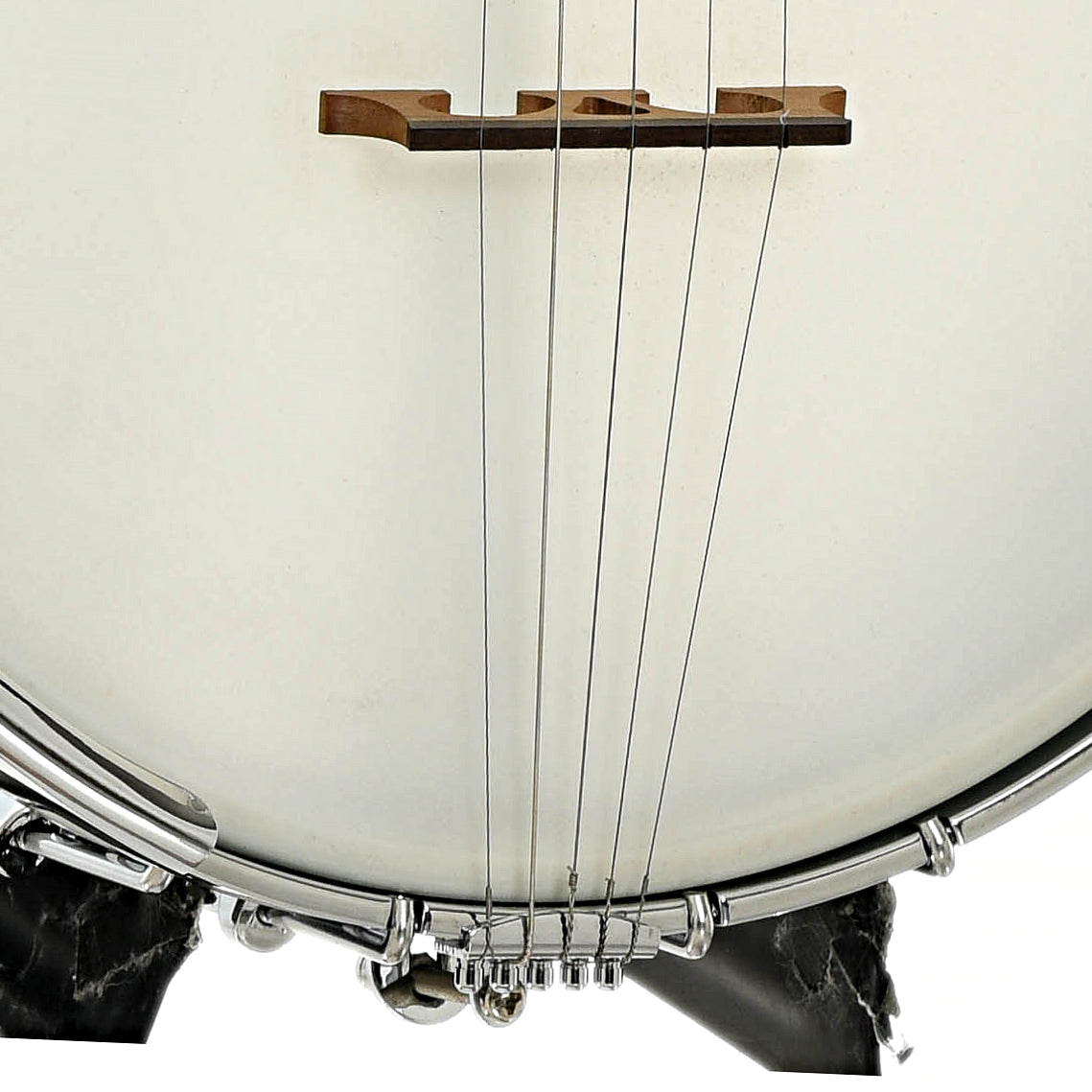 Bridge of Gold Tone WL-250 White Laydie Openback Banjo 