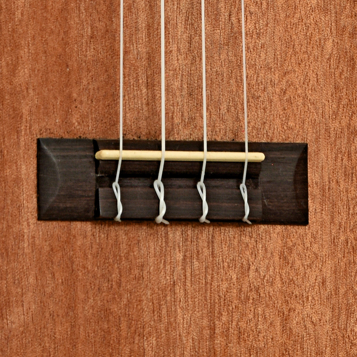 Bridge of Cordoba CM15 Concert Ukulele 