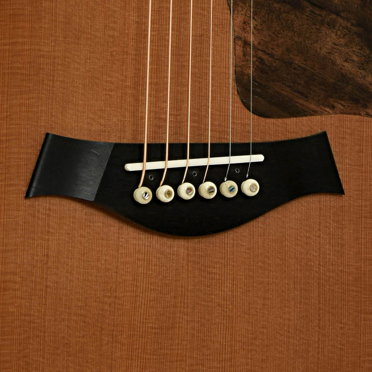 Bridge of Taylor GS Custom Acoustic Guitar