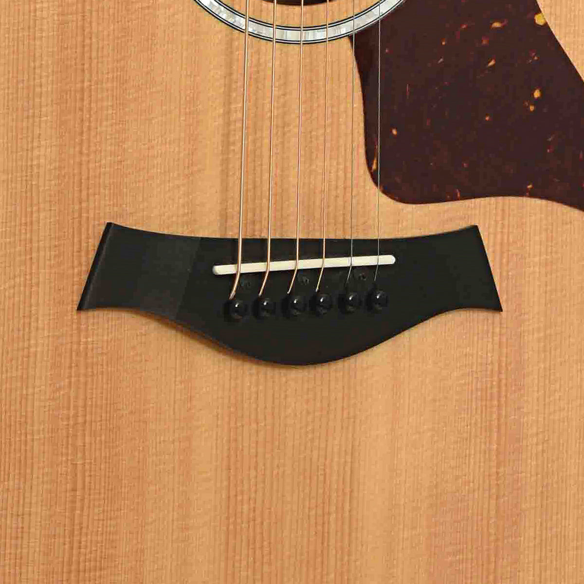 Bridge of Taylor 214ce DLX
