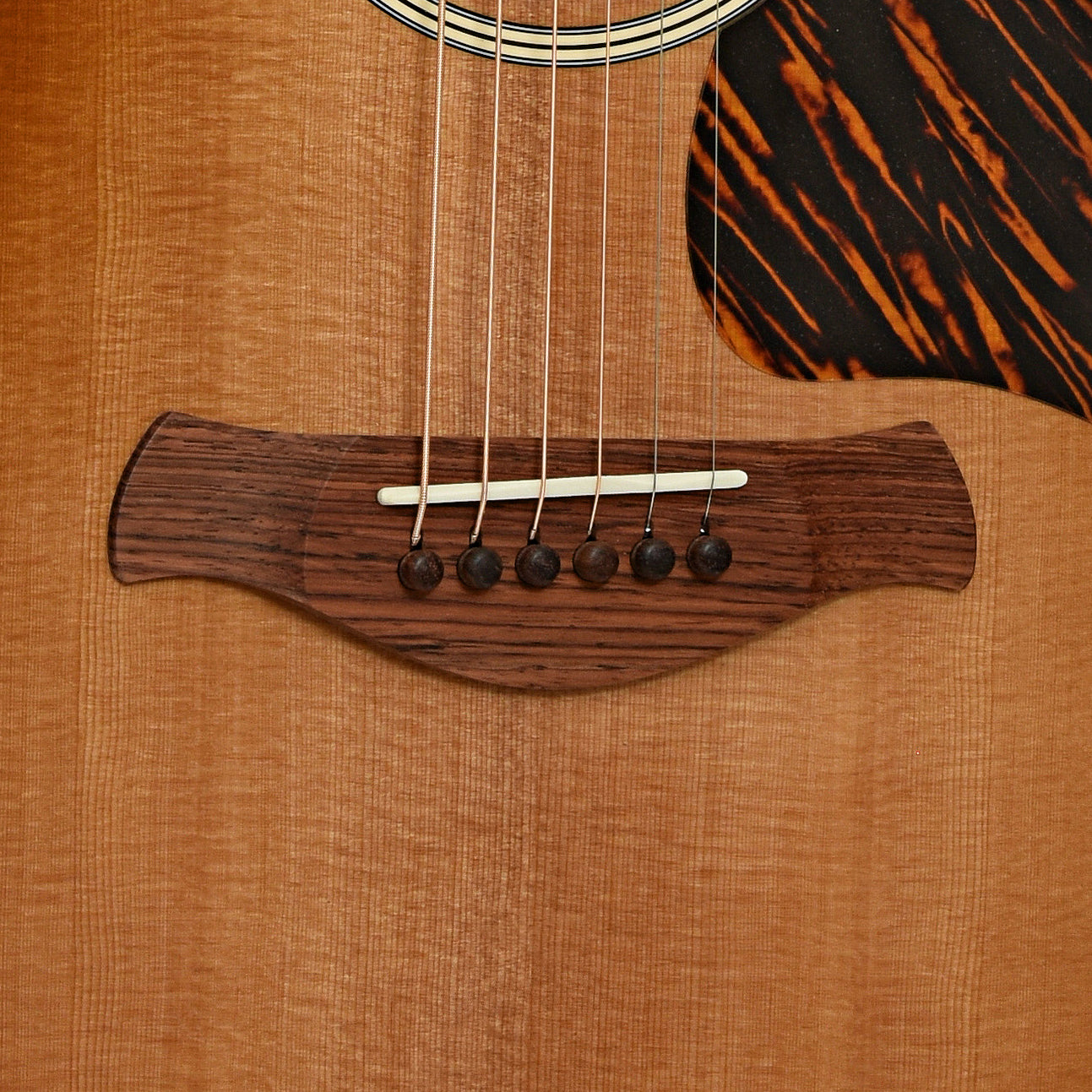 Bridge of Taylor Gold Label 717e SB Acoustic-Electric Guitar