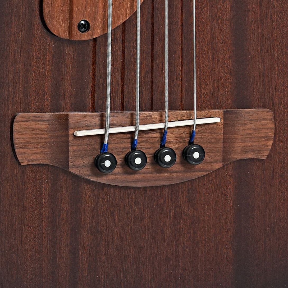 Ibanez AEGB24FE Fretless Acoustic Bass