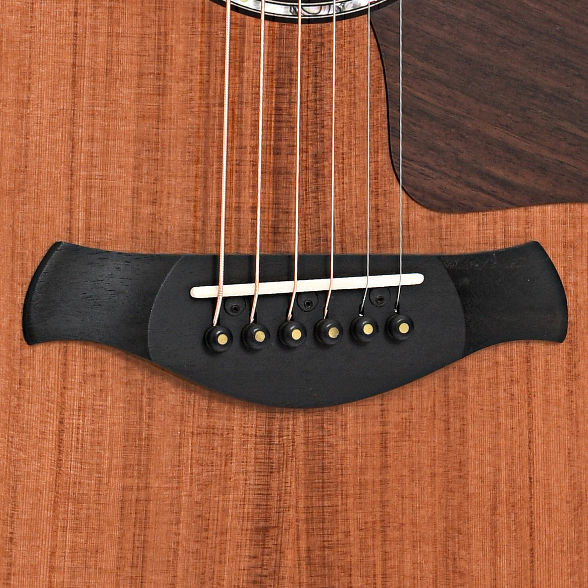 Bridge of Taylor 50th Anniversary Builder's Edition 814ce LTD Acoustic Guitar 