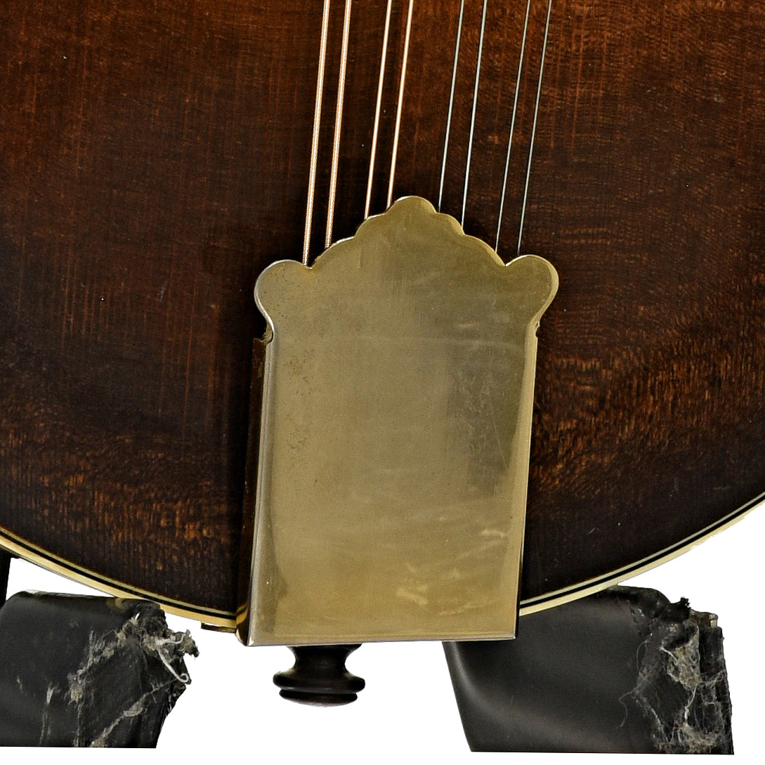 Tailpiece of Newson F-5 Fern Mandolin 