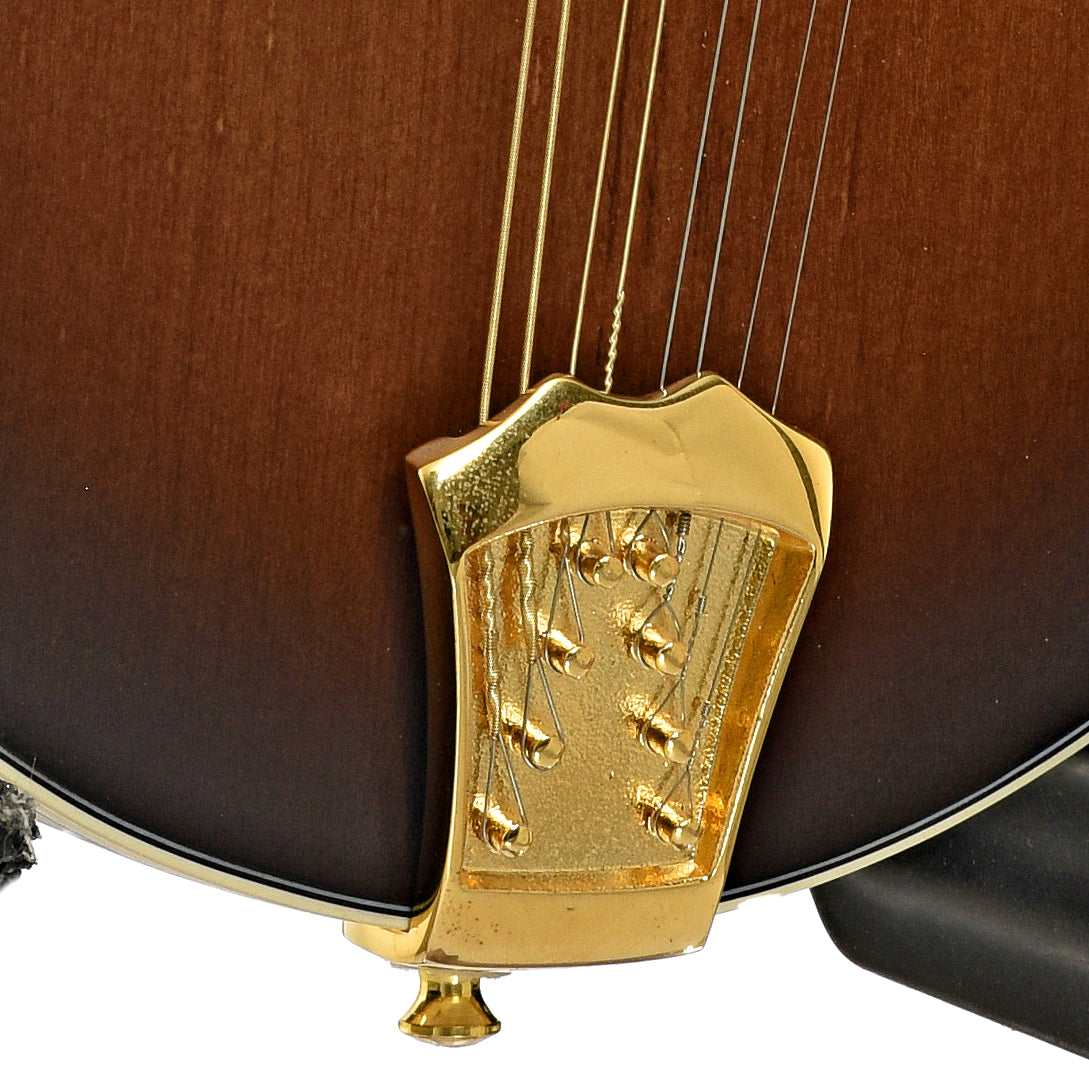 Tailpiece of Ortega RMFE100AVO Acoustic-Electric F-Model Mandolin