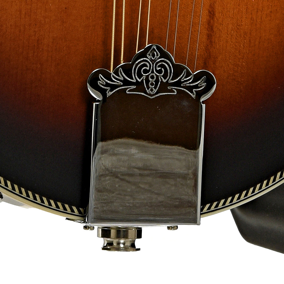 Tailpiece of Washburn M3SE F-Style Acoustic-Electric Mandolin
