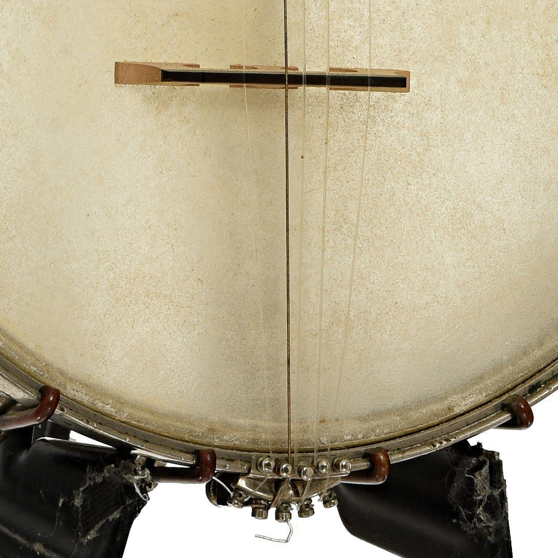 Bridge of S.S. Stewart American Princess Openback Banjo