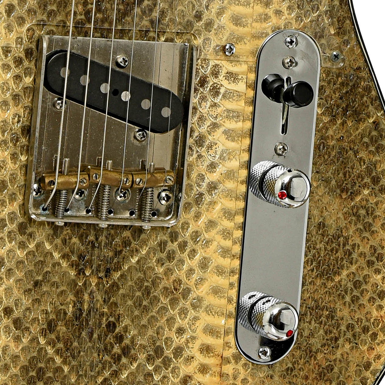 Bridge and controls of Wagner Snakeskin T Electric Guitar