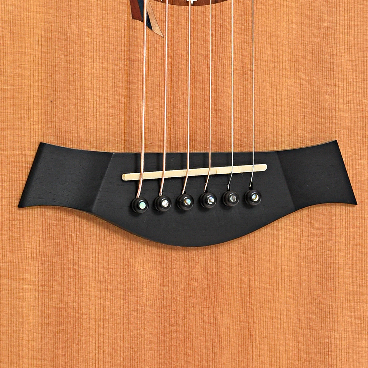 Bridge of Taylor LTG Liberty Tree Acoustic Guitar (2002)