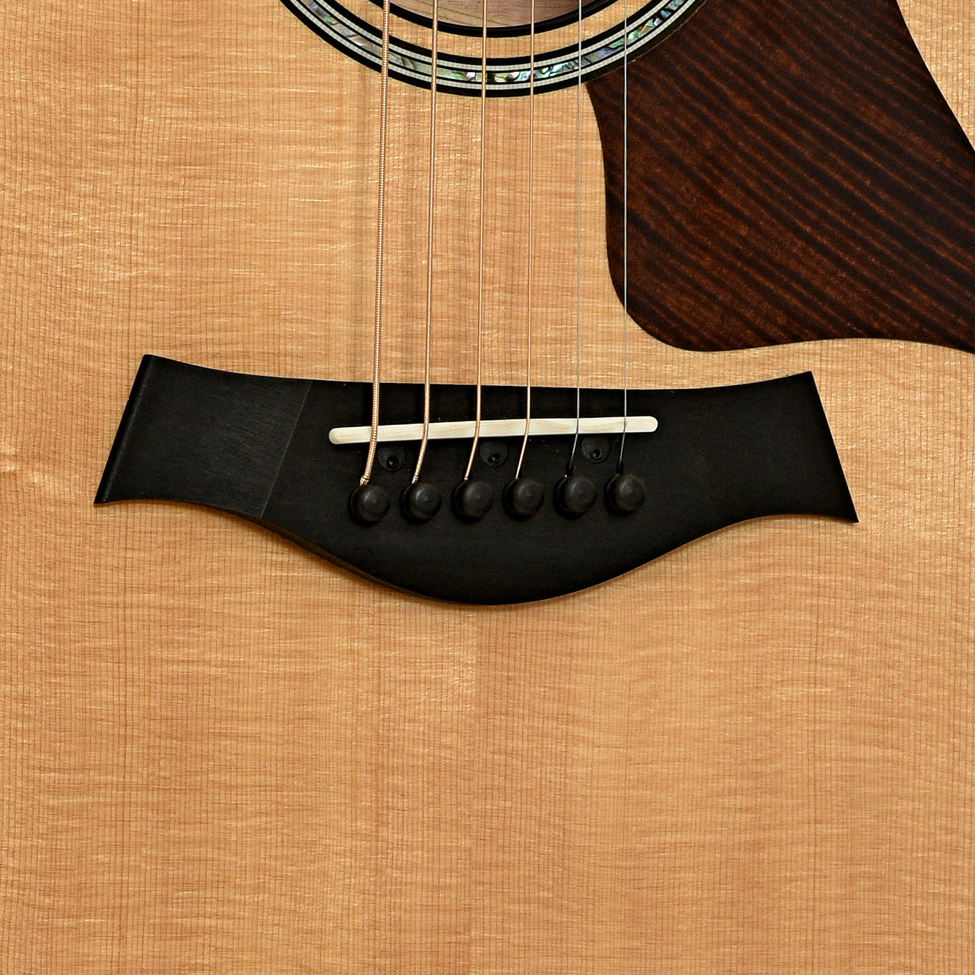 Bridge of Taylor 612ce Acoustic-Electric Guitar 