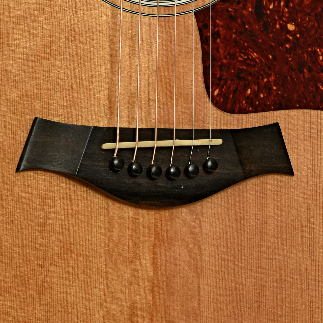Bridge of Taylor 310-CE Acoustic-Electric Guitar 