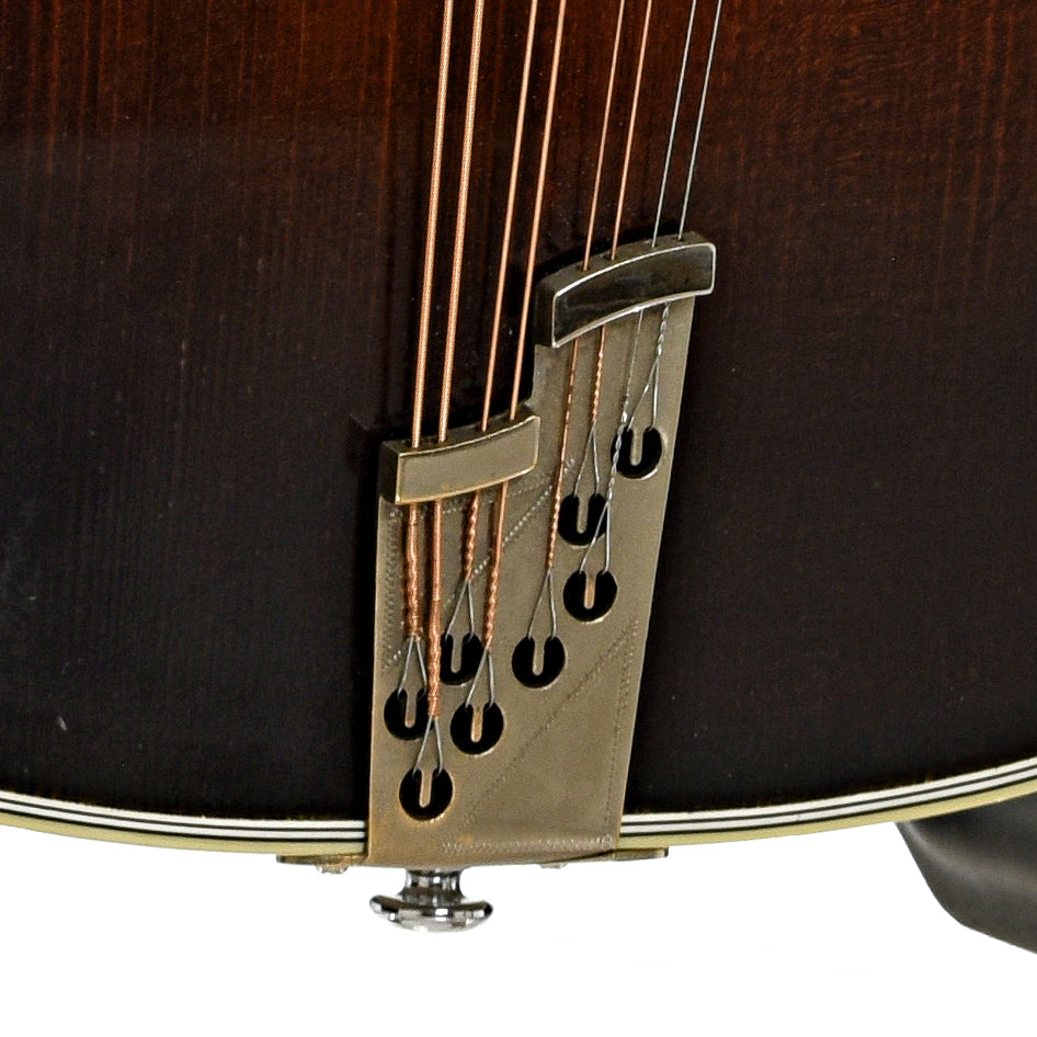 Tailpiece of Randy Wood Octave Mandolin 