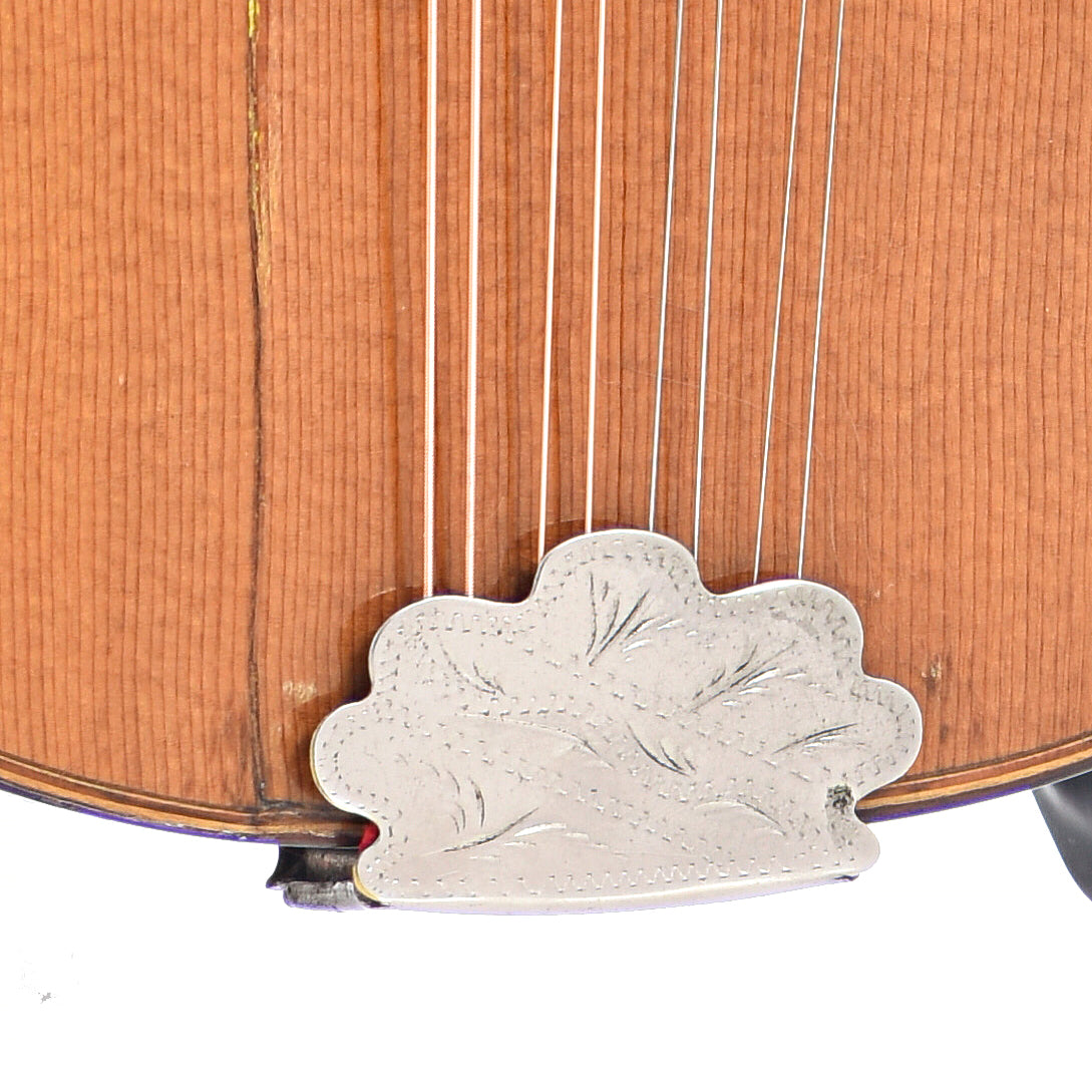 Tailpiece of Martin Style B Mandolin (1919)